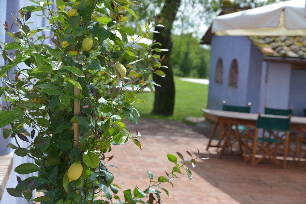 Casa Fontanino Bed and Breakfast Altopascio Eksteriør billede